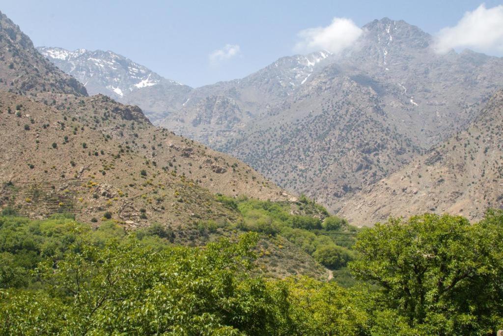 Вилла Toubkal Views Имлиль Экстерьер фото